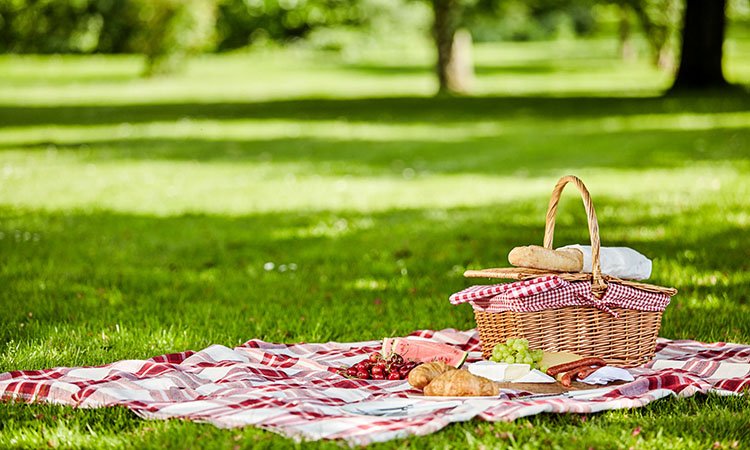 picnic spread