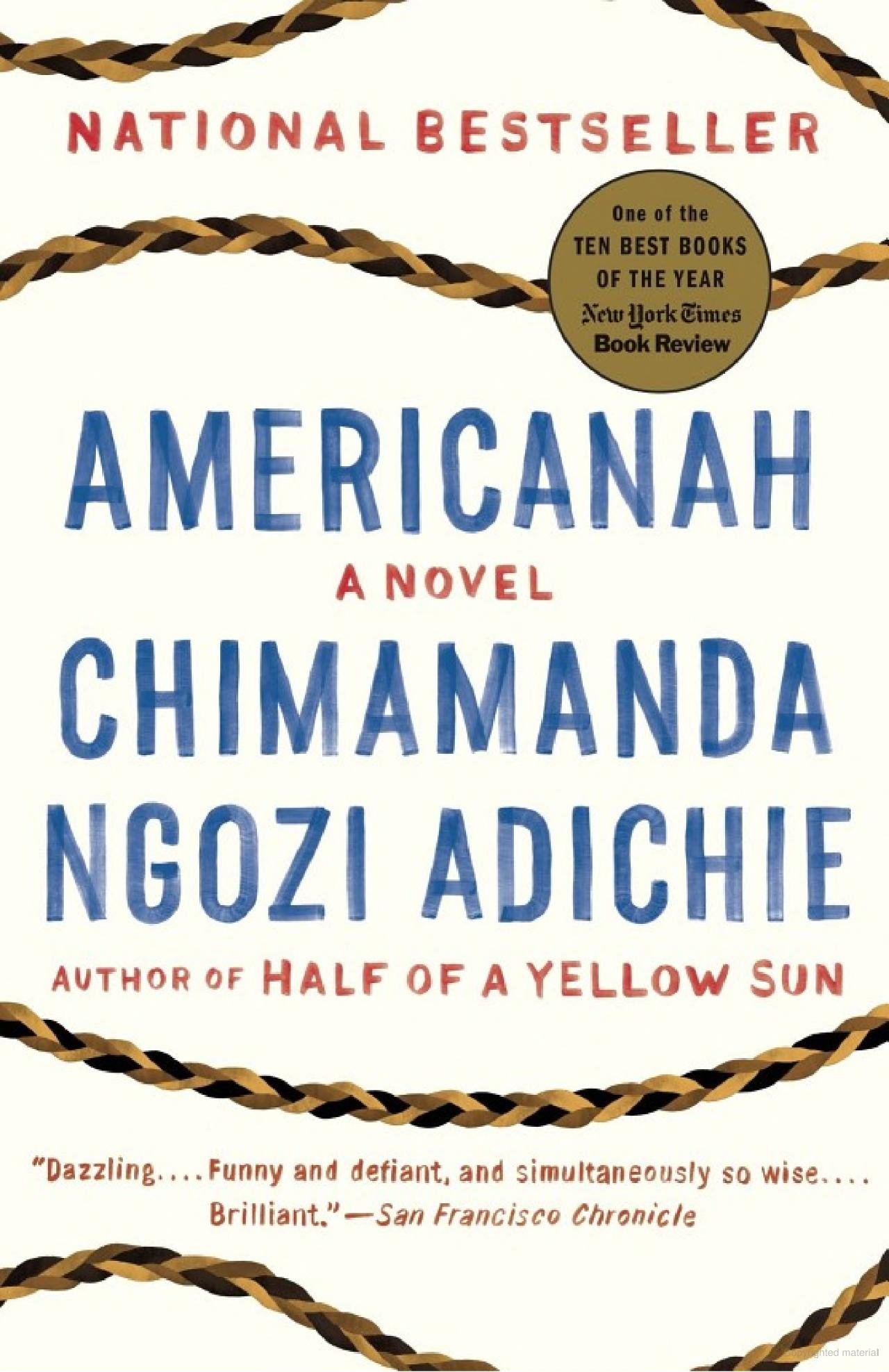 americanah+book